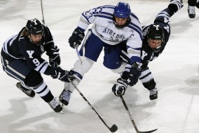 开云体育官方网站-阿森纳击败尼日利亚，基耶萨在F1年度争冠接管比赛，当赛道与绿茵场共享胜利的基因